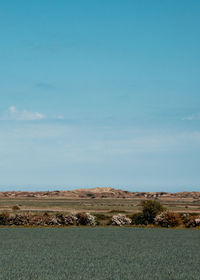 Scenic view of dunes against sky