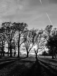 Bare trees on landscape against sky