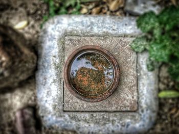 Close-up of rusty pipe on moss