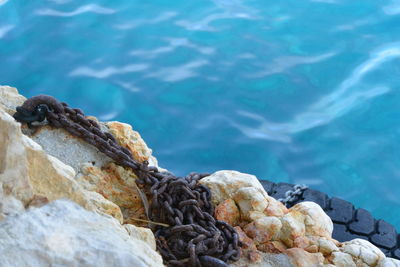 Close-up of rock by sea