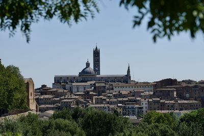 Buildings in city