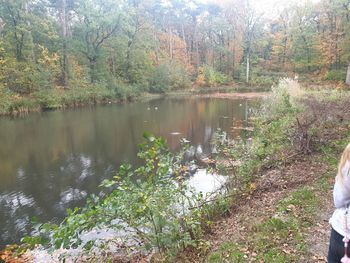Scenic view of lake in forest