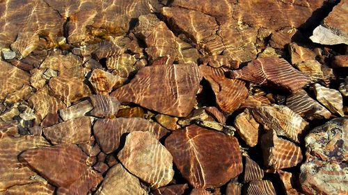 Full frame shot of logs