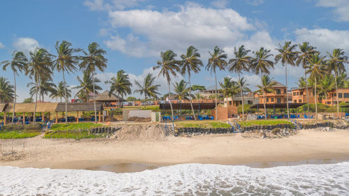 Palm trees on beach by sea against sky