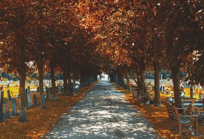 Footpath amidst autumn trees in cemetery