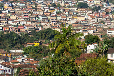 High angle view of townscape and trees in town