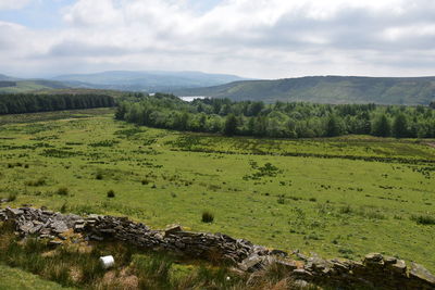 Scenic view of landscape against sky