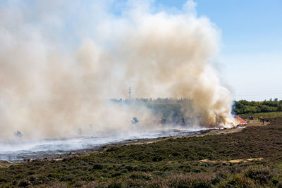 Abbrand alter und trockener pflanzen am morsum kliff