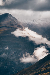environment