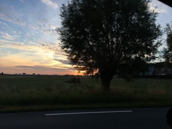 Silhouette trees on landscape against sky at sunset
