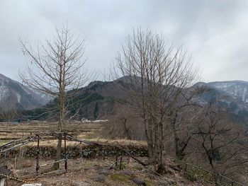 Bare trees on landscape against sky