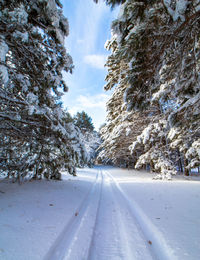 Road amidst snow covered trees against sky