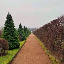 Empty road amidst plants on field against sky