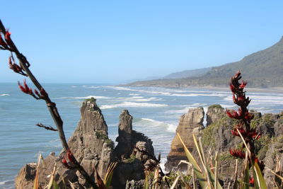 Scenic view of sea against clear sky