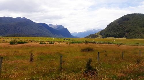 Scenic view of field against sky