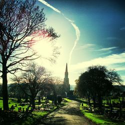 Footpath leading towards trees