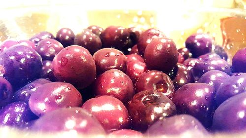 Close-up of food