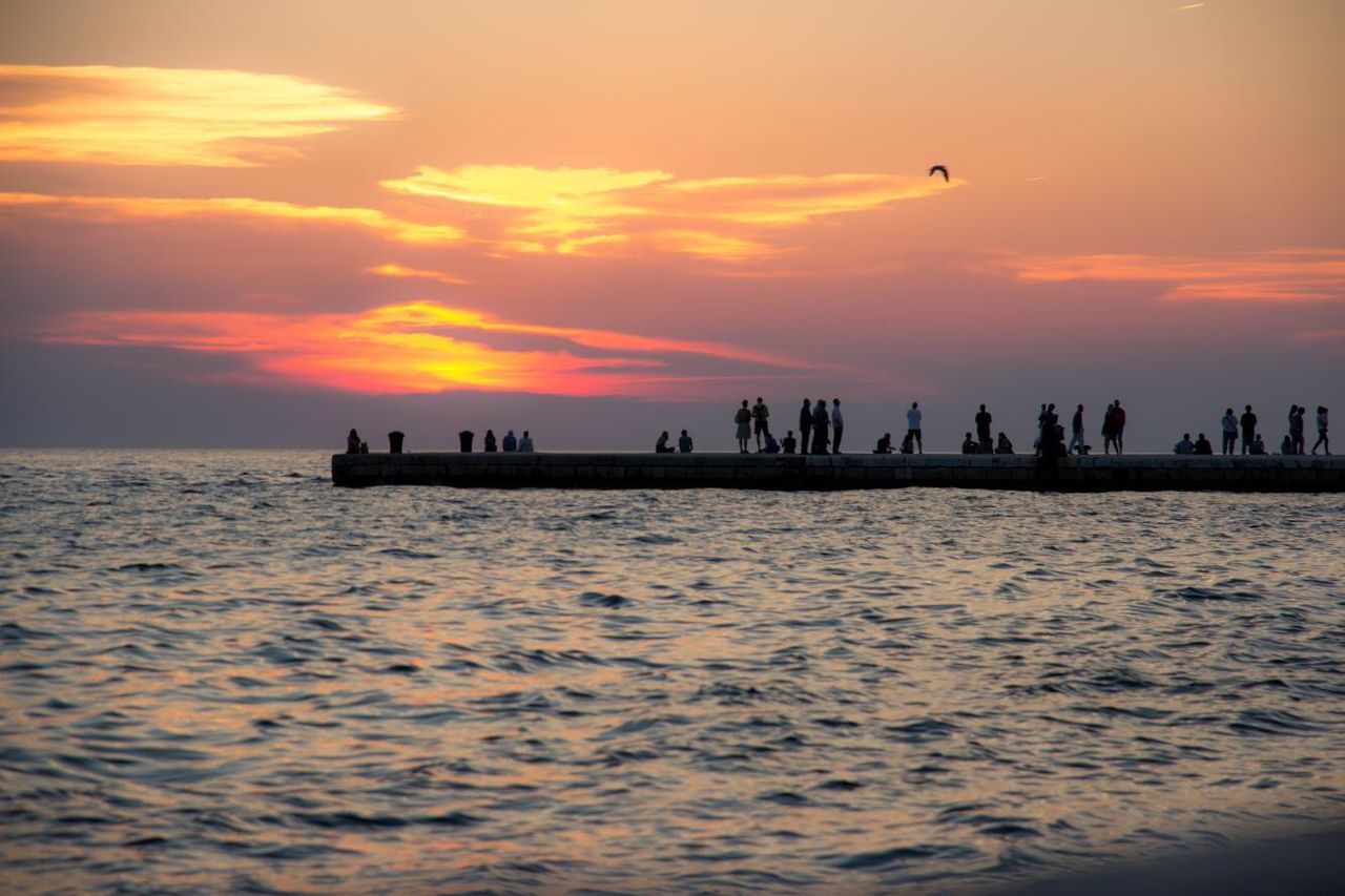 SILHOUETTE OF BIRDS ON BEACH