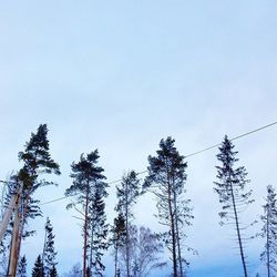 clear sky