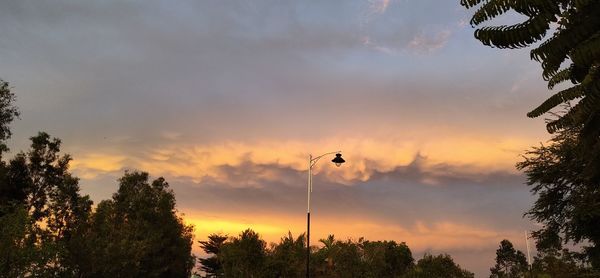 Low angle view of silhouette trees against sky during sunset