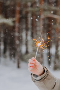 Hand holds a sparkler on the background of a winter forest, during a snowfall. 