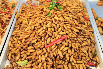 Close-up of worms for sale in market