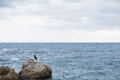 Cormorant perching on rock in sea against cloudy sky