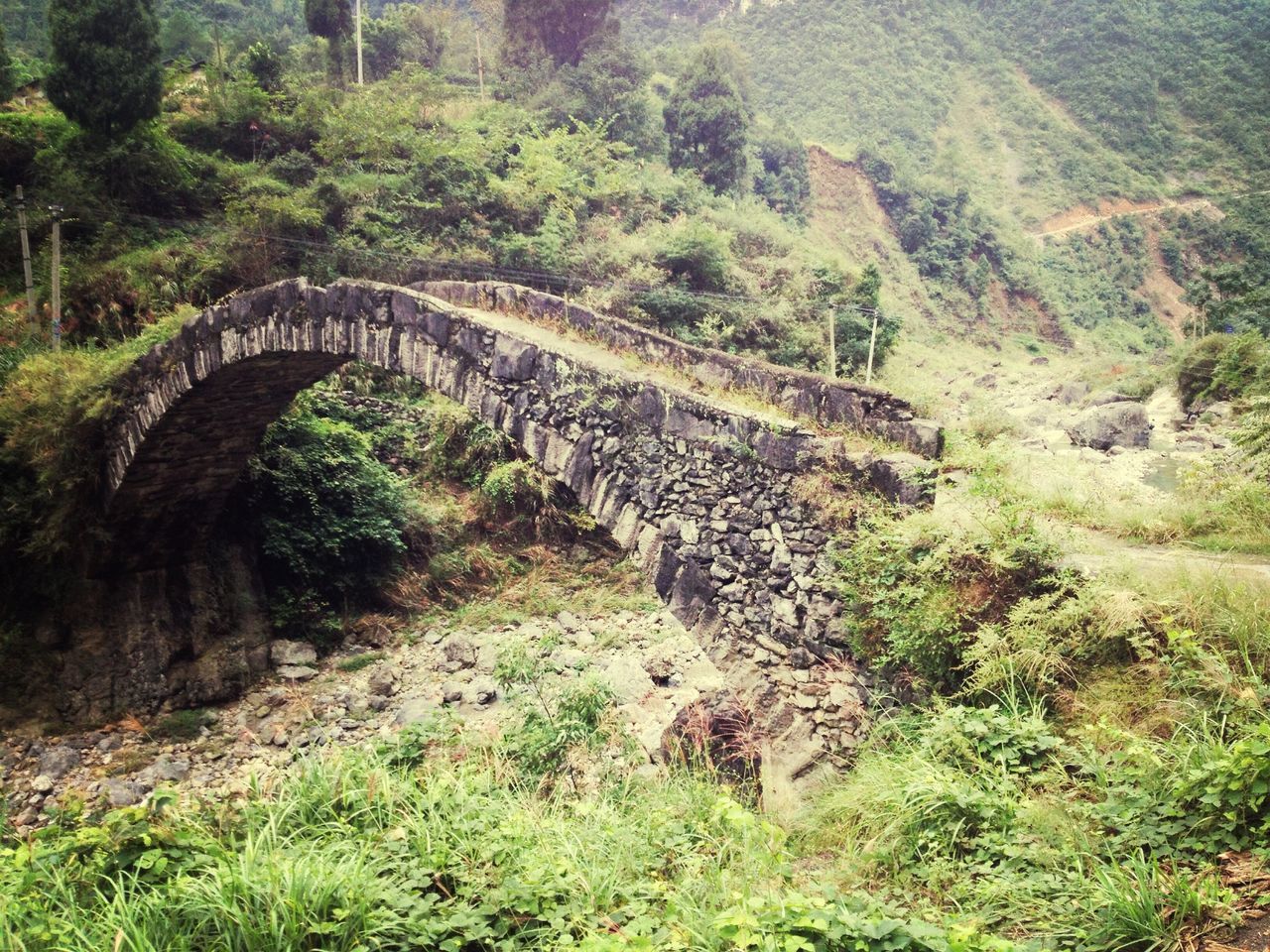 connection, bridge - man made structure, tree, tranquility, forest, nature, tranquil scene, built structure, mountain, bridge, rock - object, green color, scenics, plant, growth, beauty in nature, non-urban scene, landscape, architecture, arch bridge