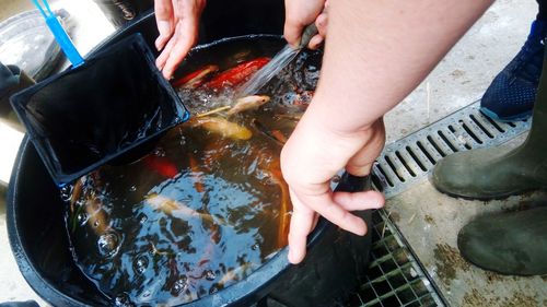 High angle view of people preparing food in water