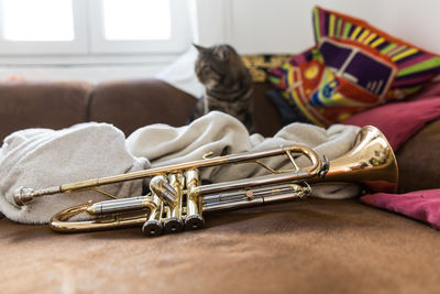 Close-up of a cat lying on bed at home