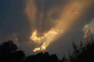 Low angle view of silhouette trees against sky at sunset