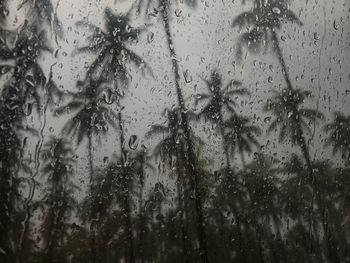 Full frame shot of wet glass window in rainy season