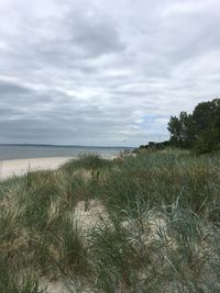 Scenic view of beach against sky