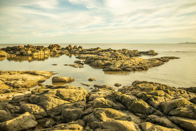 Rocks on beach against sky