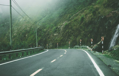 Road amidst trees and plants