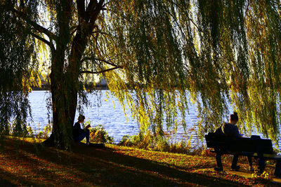Reflection of trees in lake