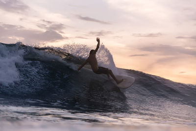 Tourist surfing over waves in sea during sunset