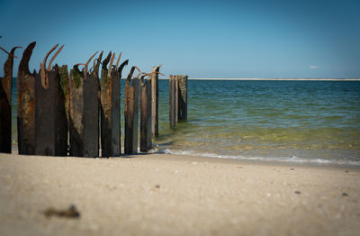 Wooden posts on beach against clear blue sky