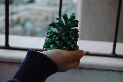 Cropped hand holding pine cone by railing