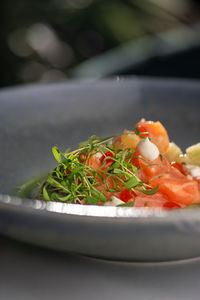 Close-up of food in plate