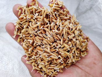 Close-up of hand holding bread