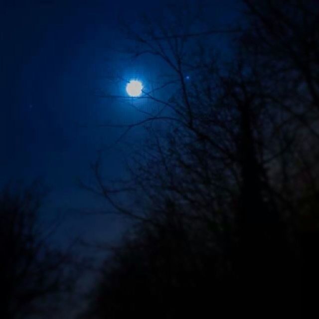 silhouette, bare tree, moon, tree, night, branch, tranquility, low angle view, beauty in nature, nature, sky, tranquil scene, scenics, dark, sun, dusk, growth, outdoors, full moon, sunset