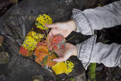 High angle view of man holding yellow leaves