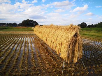 Hay bales on field against sky