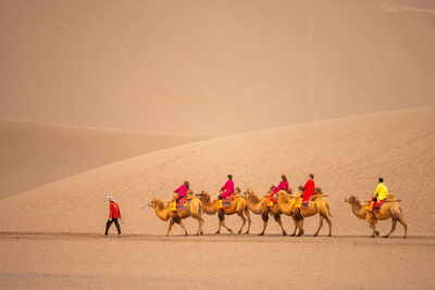 People walking on sand at beach