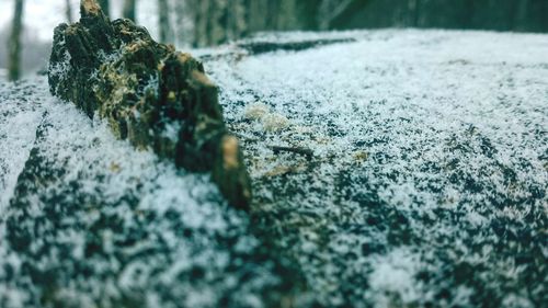 Close-up of frozen water