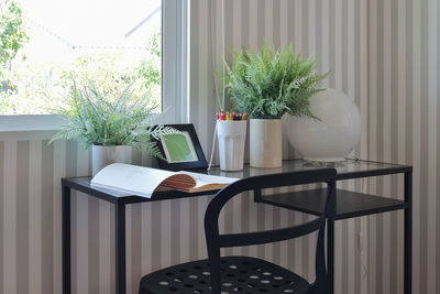 Potted plant on table at home