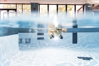 Shirtless boy swimming in pool