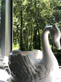 Close-up of white bird on window