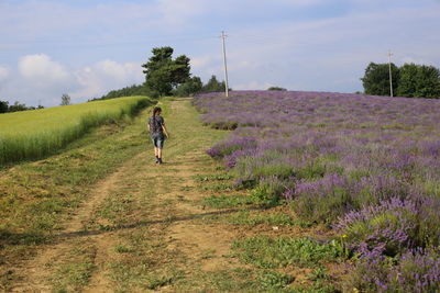 Rear view of woman walking on field lavande against sky